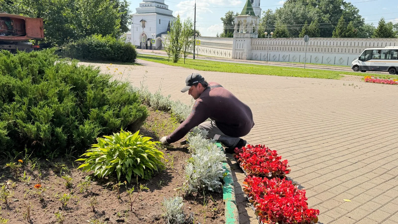Более 50 тысяч однолетних цветов украсили городские клумбы в Дзержинском городского округа Люберцы