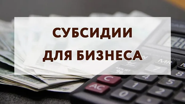 Предприниматели Люберец могут подать заявку на получение субсидии из бюджета городского округа Люберцы