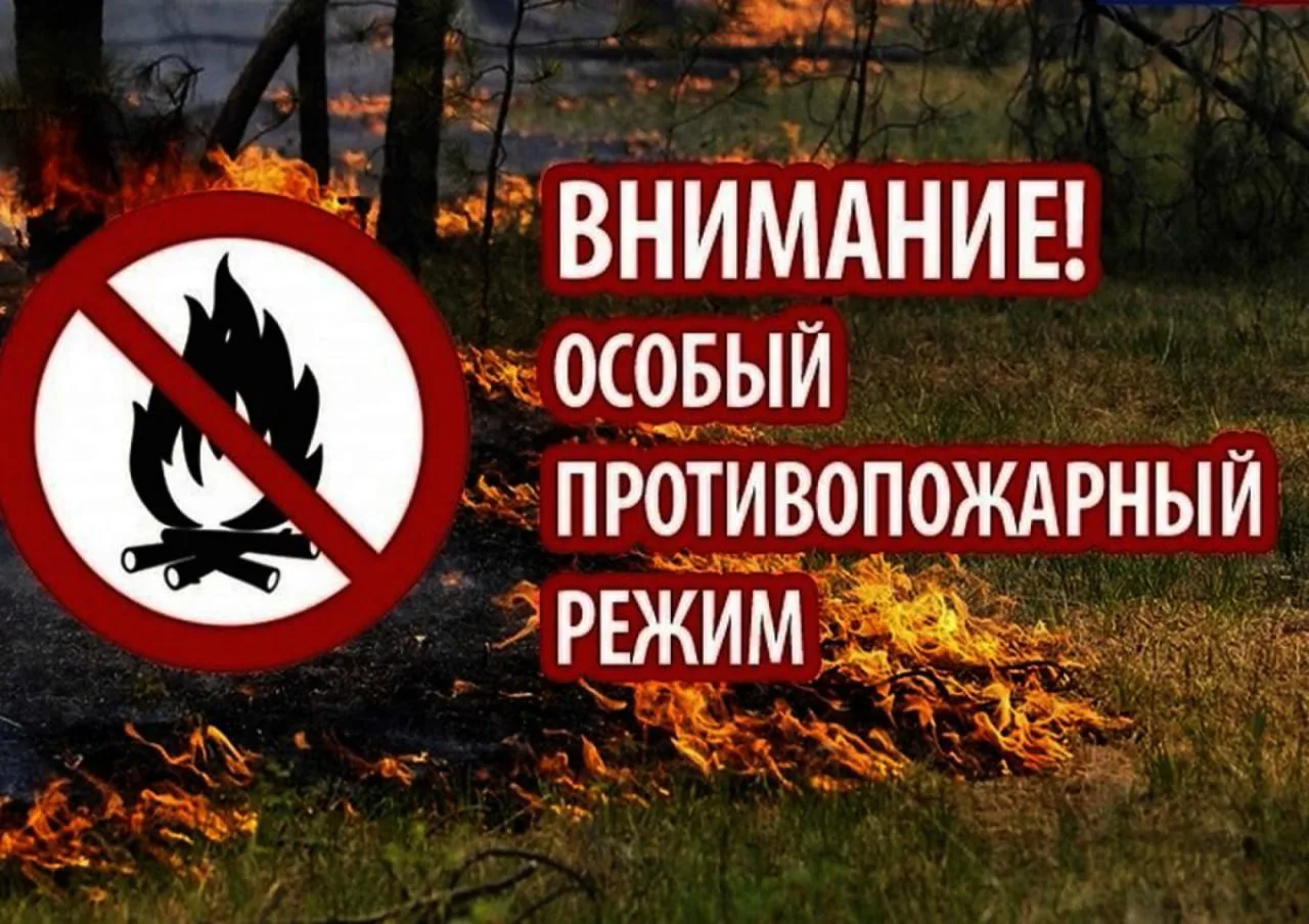 Жителям Люберец напомнили об ответственности  и наказании за сжигание травы