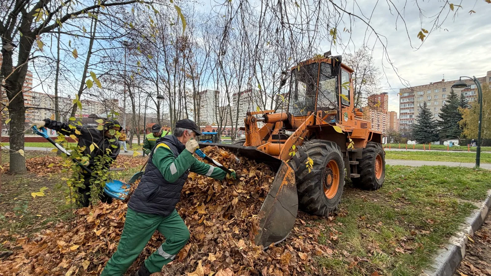 Более 80 кубометров опавших листьев вывезли из Сквера ветеранов в Дзержинском
