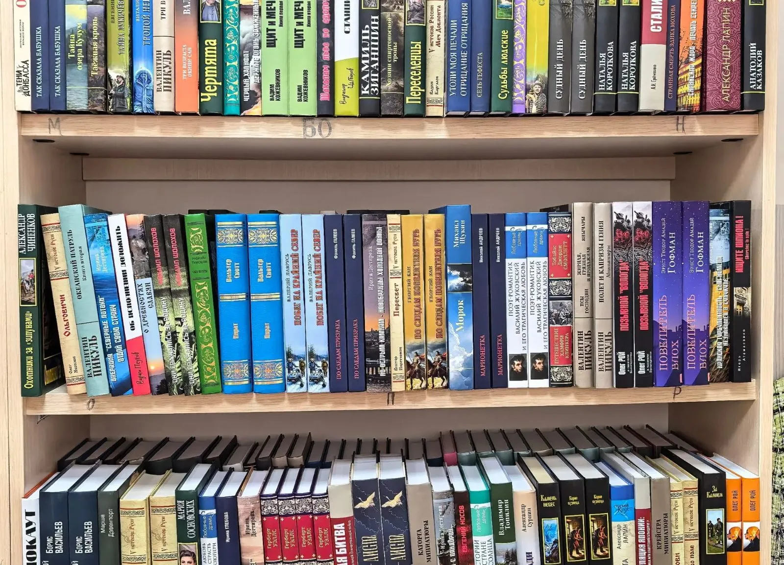 Свыше 3 380 экземпляров новых книг поступили в библиотеку Люберец