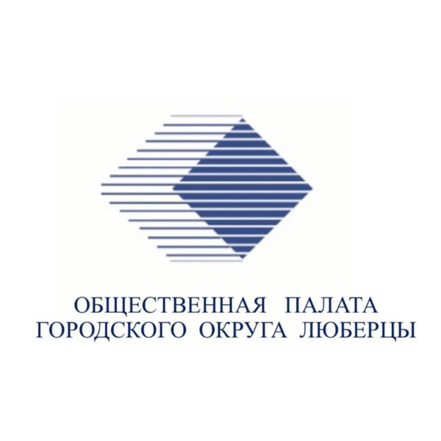 О работе наблюдателей на IV областном форуме муниципальных Общественных палат «Совместный вектор развития»