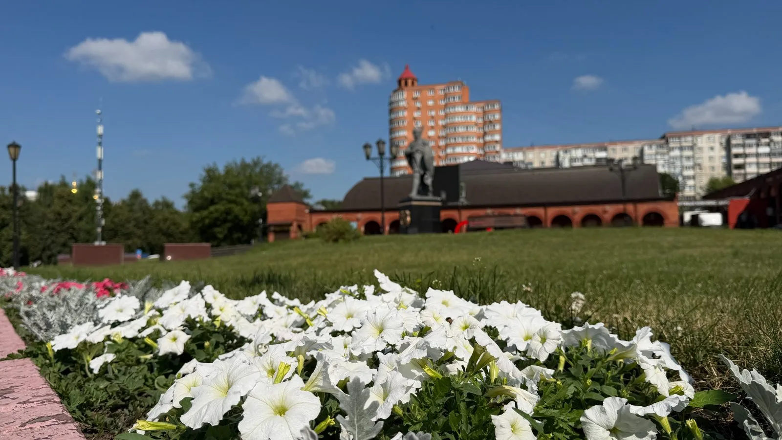 Более 50 тысяч однолетних цветов украсили городские клумбы в Дзержинском городского округа Люберцы