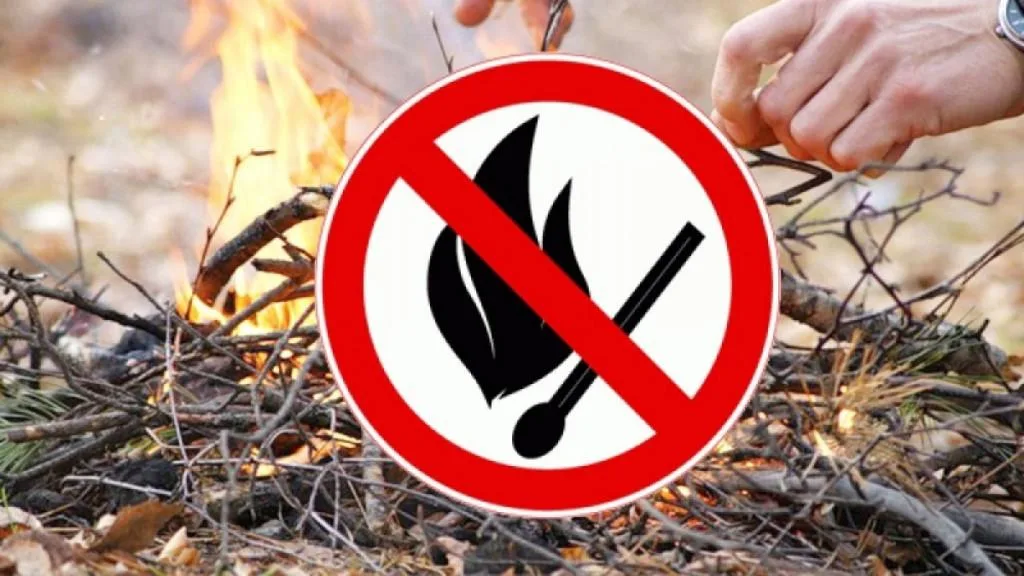 В подмосковных лесах усилили патрулирование в связи с установившейся теплой погодой