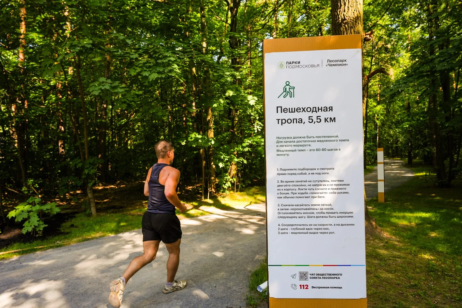 В Дзержинском в прошлом году благоустроили лесопарк «Чемпион»,  а в этом планируют – лесопарки «Лесная опушка»