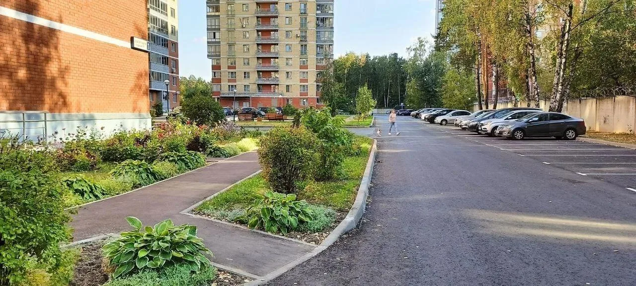 Более 4 тысяч новых деревьев высадят в Люберцах в 2026 году