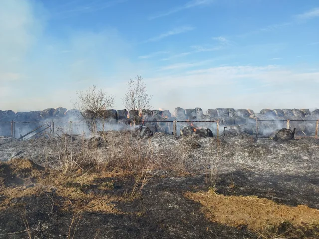 Пожарные предупредили жителей Люберец об опасности поджигания сухой травы