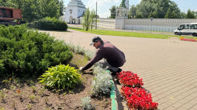 Более 50 тысяч однолетних цветов украсили городские клумбы в Дзержинском городского округа Люберцы