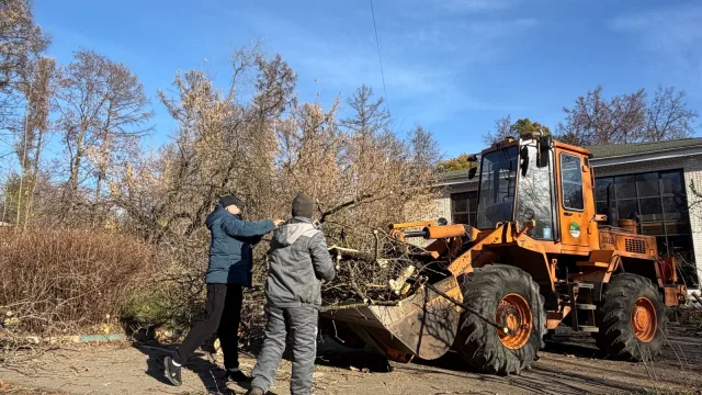 45 кубометров спиленных веток вывезли коммунальщики с одной из улиц в Дзержинском