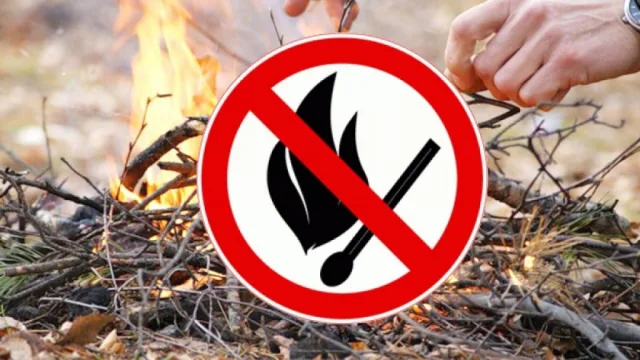 Особый противопожарный режим установлен на территории Люберец с 1 мая