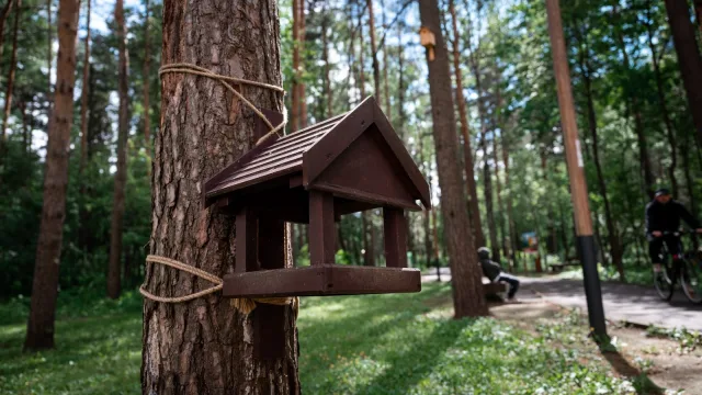 В Люберцах завершается благоустройство парка «Лесная опушка» 