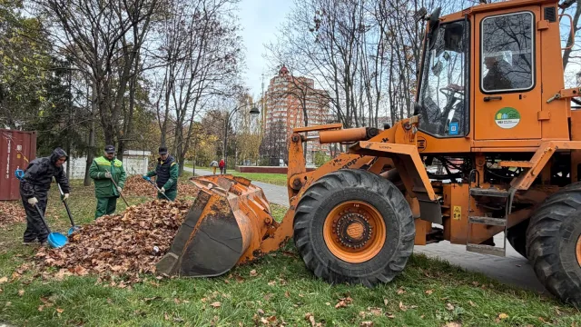 Более 80 кубометров опавших листьев вывезли из Сквера ветеранов в Дзержинском
