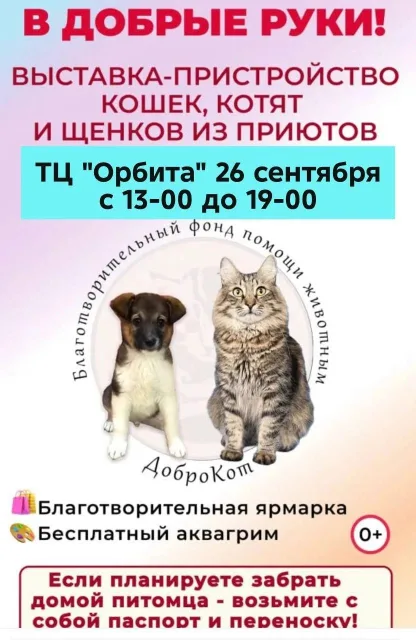 Выставка-пристройство животных из приютов пройдет в Люберцах
