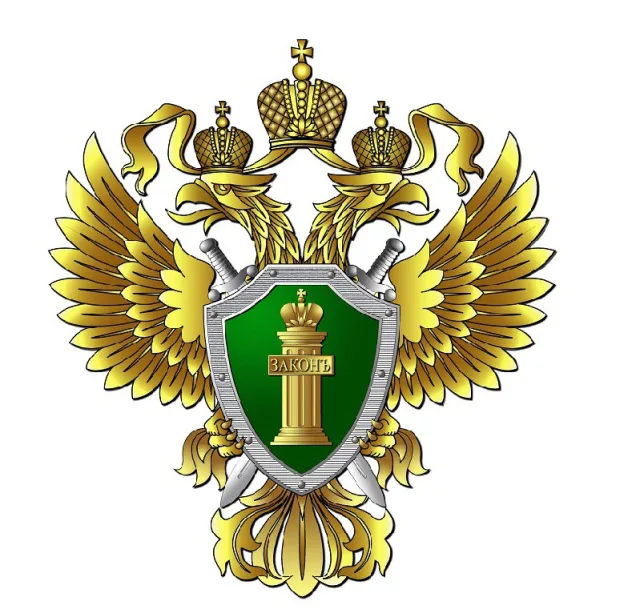 Об определении случаев, в которых можно использовать Госуслуги наравне с паспортом
