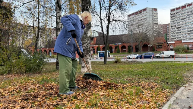 Более 80 кубометров опавших листьев вывезли из Сквера ветеранов в Дзержинском