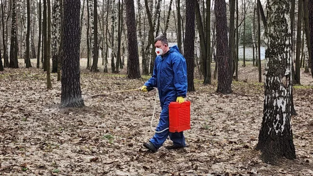Акарицидную обработку в парке Люберец проведут 18 апреля
