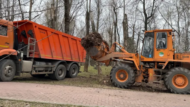 Более 80-ти кубов прошлогодней листвы вывезли из сквера в Дзержинском