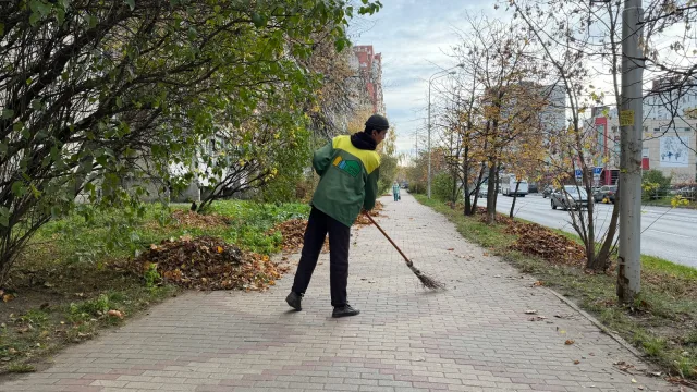 Более 80 кубометров опавших листьев вывезли из Сквера ветеранов в Дзержинском
