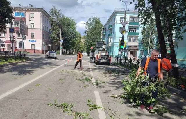 207 кубометров порубочных остатков вывезли для утилизации с улично-дорожной сети Люберец за неделю
