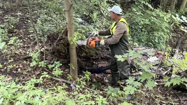 Очистку Овального пруда возле деревни Торбеево завершат до конца недели