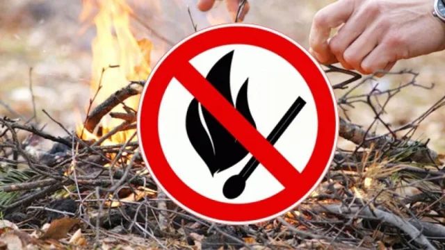 В подмосковных лесах усилили патрулирование в связи с установившейся теплой погодой