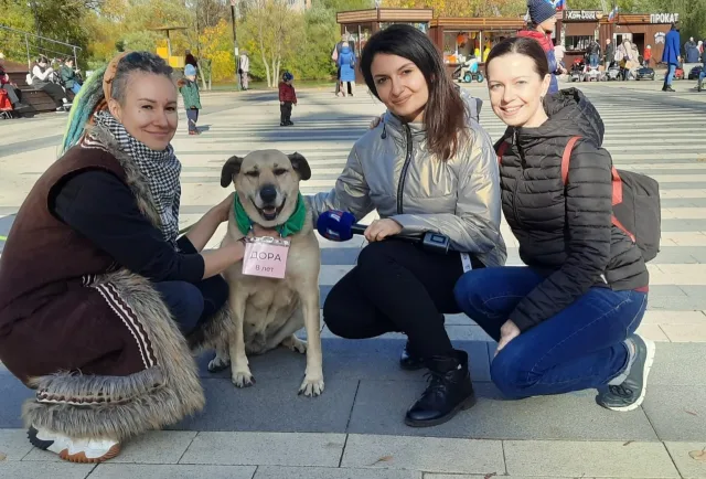 Около 30 кг кормов  собрали бездомным животным волонтеры во время акции в парке Люберец
