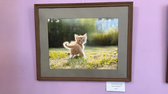 Фотовыставка «Путешествия. Отдых. Встречи» открылась в Дзержинском