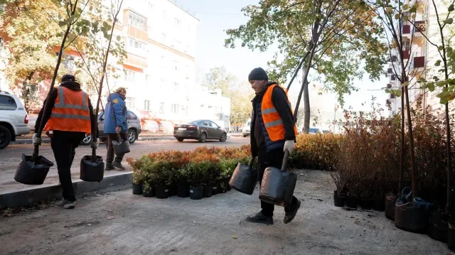 Кусты и деревья высаживают в сквере «Мемориал павшим в локальных военных конфликтах» в Люберцах