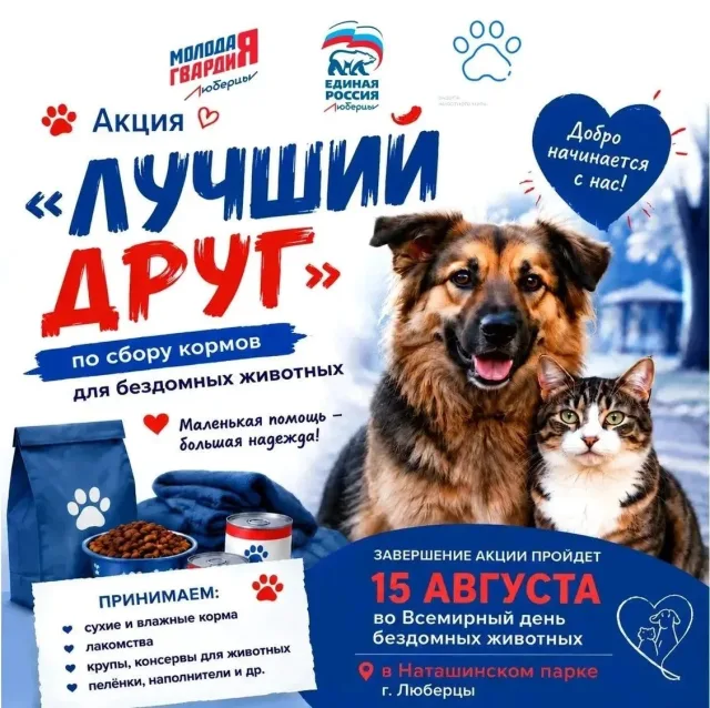 Благотворительная акция в поддержку бездомных животных пройдёт в Люберцах