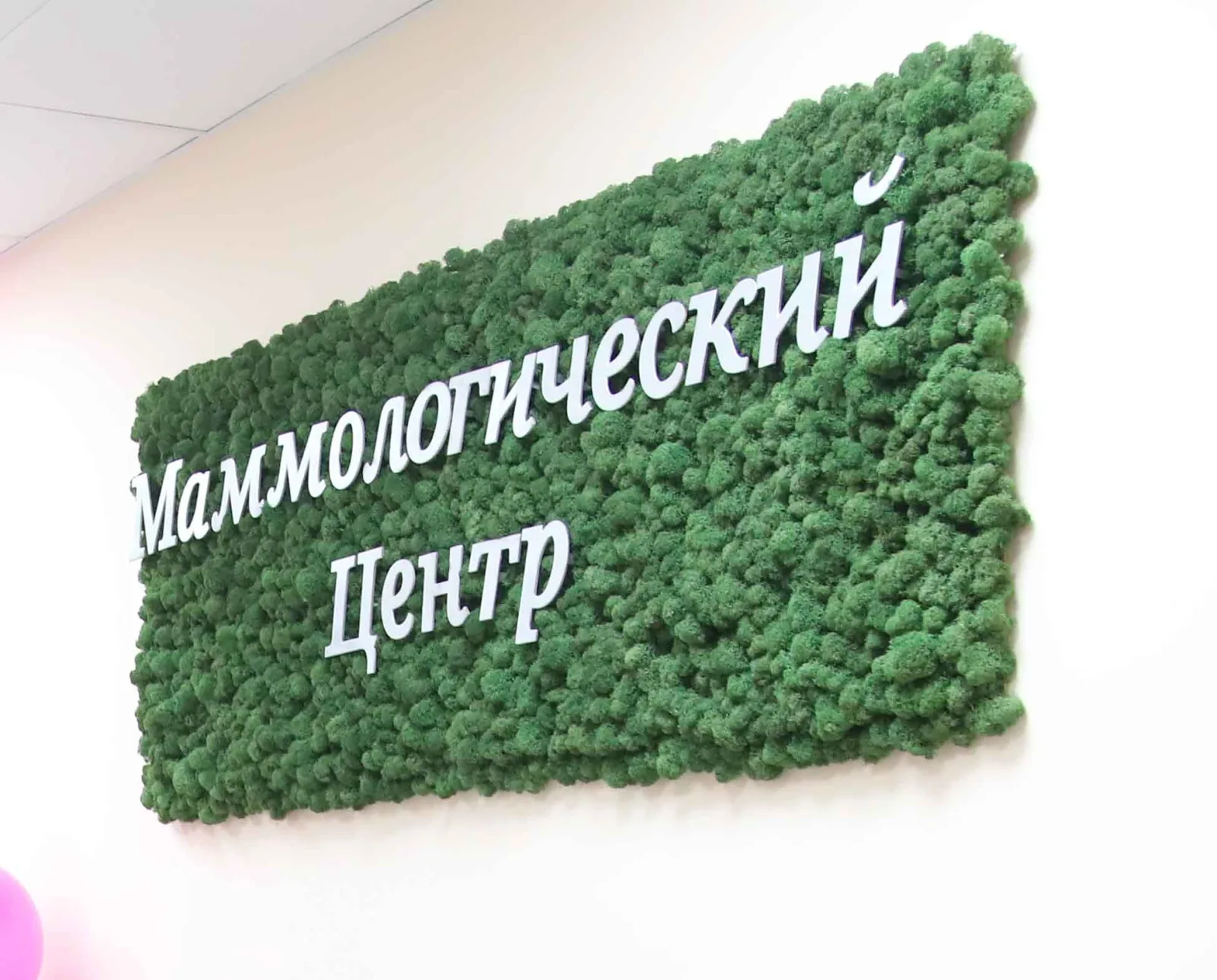Мамогров